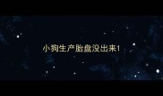 小狗生产胎盘没出来