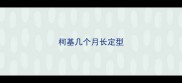 柯基几个月长定型