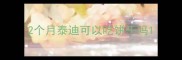 2个月泰迪可以吃饼干吗