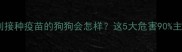 不按计划接种疫苗的狗狗会怎样这5大危害90主人都踩坑