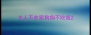 主人不在家狗狗不吃饭