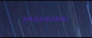 拉布拉多多大好养