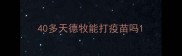 40多天德牧能打疫苗吗