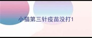 小猫第三针疫苗没打