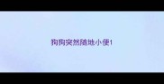 狗狗突然随地小便