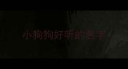小狗狗好听的名字