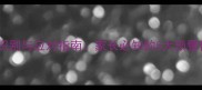 泰迪犬慢性脑炎症状识别与应对指南家长必知的5大预警信号及专业护理方案