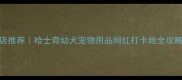 潍坊哈士奇专卖店推荐哈士奇幼犬宠物用品网红打卡地全攻略附防坑指南