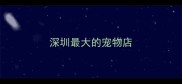 深圳最大的宠物店