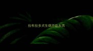 拉布拉多犬生病不吃东西