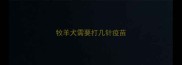 牧羊犬需要打几针疫苗