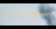 拉布拉多幼犬粮哪种好