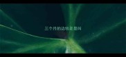 三个月的边牧老是叫