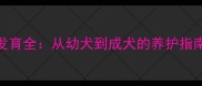 金毛犬耳朵发育全从幼犬到成犬的养护指南与常见误区