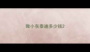 微小灰泰迪多少钱