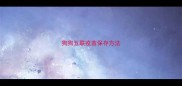 狗狗五联疫苗保存方法