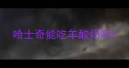 哈士奇能吃羊酸奶吗