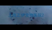 上海正伊宠物医院
