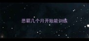 恶霸几个月开始能训练