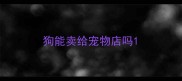 狗能卖给宠物店吗
