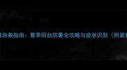 拉布拉多中暑急救指南夏季阳台防暑全攻略与症状识别附紧急处理步骤