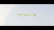 拉布拉多的鼻头不黑