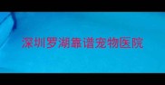 深圳罗湖靠谱宠物医院