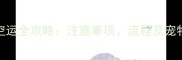 拉布拉多空运全攻略注意事项流程及宠物安全指南