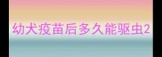 幼犬疫苗后多久能驱虫
