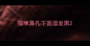 猫咪鼻孔下面湿发黑