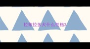 拉布拉多犬什么性格