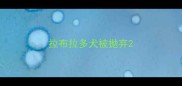 拉布拉多犬被抛弃
