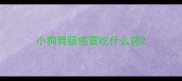 小狗胃肠感冒吃什么药