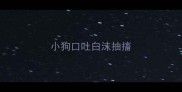 小狗口吐白沫抽搐