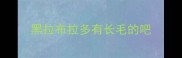 黑拉布拉多有长毛的吧