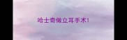哈士奇做立耳手术