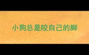小狗总是咬自己的脚