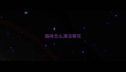 猫咪怎么清洁菊花