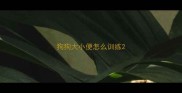 狗狗大小便怎么训练