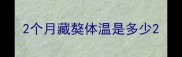 2个月藏獒体温是多少