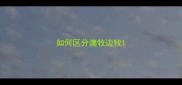 如何区分澳牧边牧
