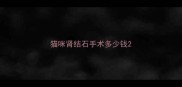 猫咪肾结石手术多少钱