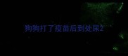 狗狗打了疫苗后到处尿