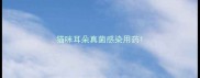猫咪耳朵真菌感染用药