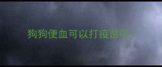 狗狗便血可以打疫苗吗