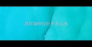 成年猫咪拉肚子怎么办