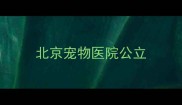北京宠物医院公立
