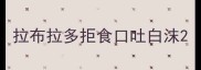拉布拉多拒食口吐白沫