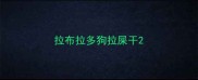 拉布拉多狗拉屎干