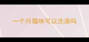 一个月猫咪可以洗澡吗